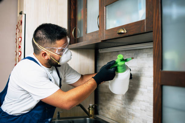 Trusted Hobart, WA Pest Control Experts