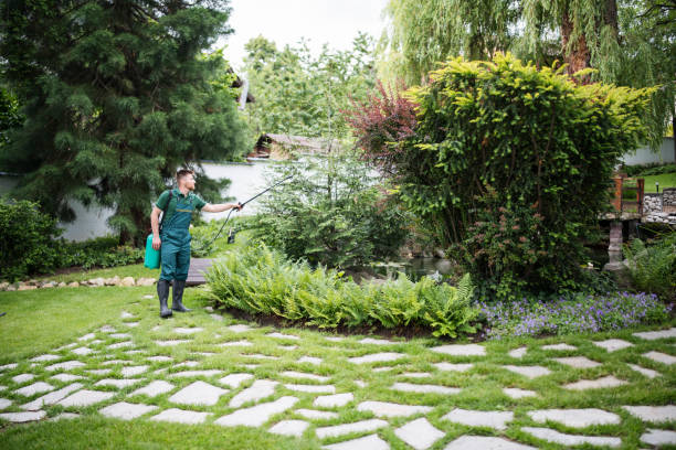 Best Best Pest Control Companies  in Hobart, WA