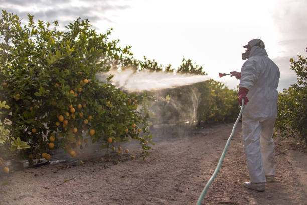 Best Exterminator Services  in Hobart, WA