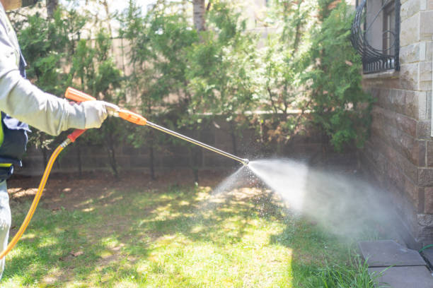 Best Flea Control Services  in Hobart, WA