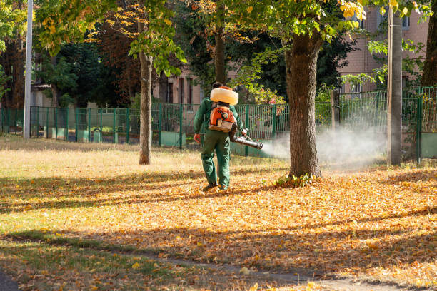 Flea Control Services in Hobart, WA