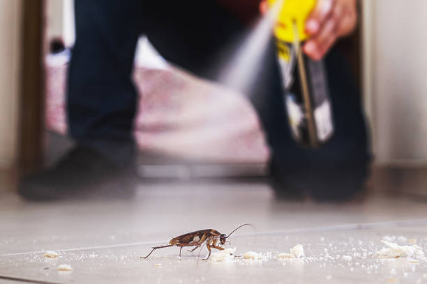 Best Best Pest Control Companies  in Hobart, WA