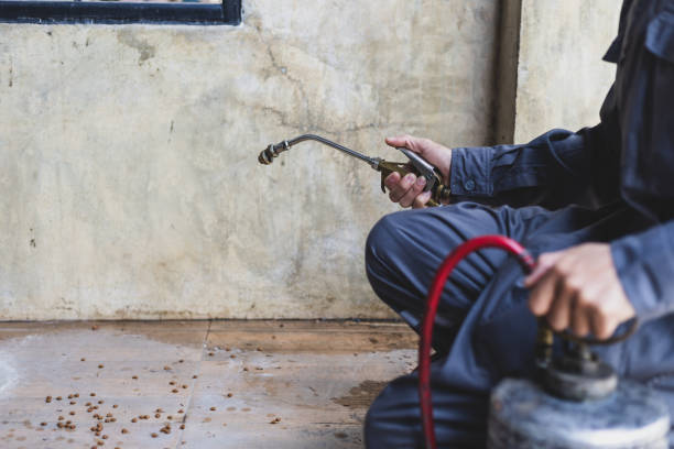 Best Affordable Pest Control Services  in Hobart, WA